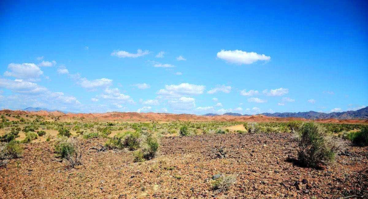 两弹|两弹元勋邓稼先病重时，颤巍巍竖起两根手指，理由令大家敬佩