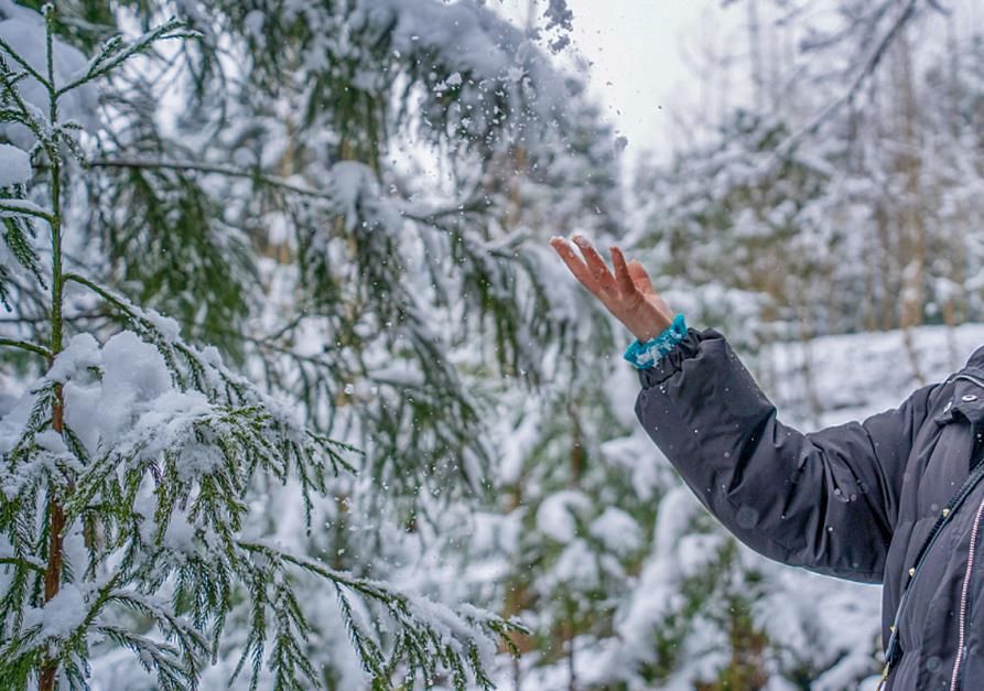 一大|德阳各地雪景美照大曝光！隔壁城市都羡慕哭了！一大波视频照片……