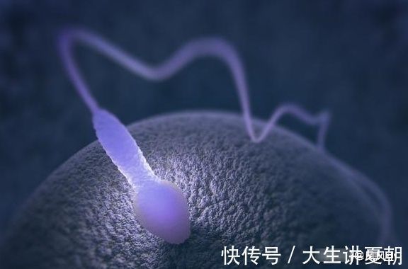 男性|为什么有的女性生不了男孩?或许和3方面有关,不妨了解下
