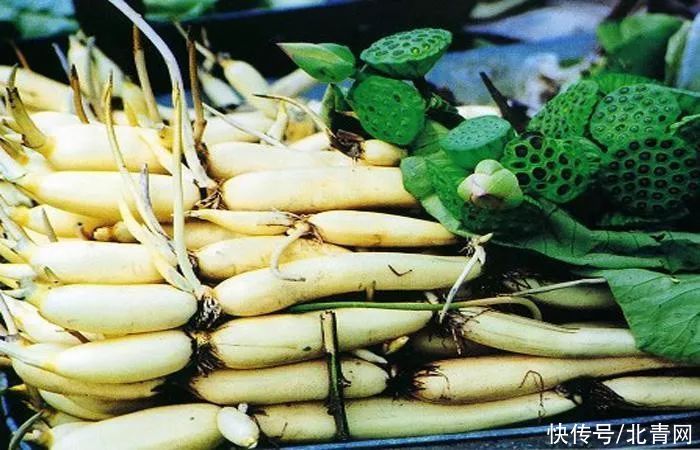 山药|立秋了，多吃“这4种蔬菜”，顺应时节好度秋