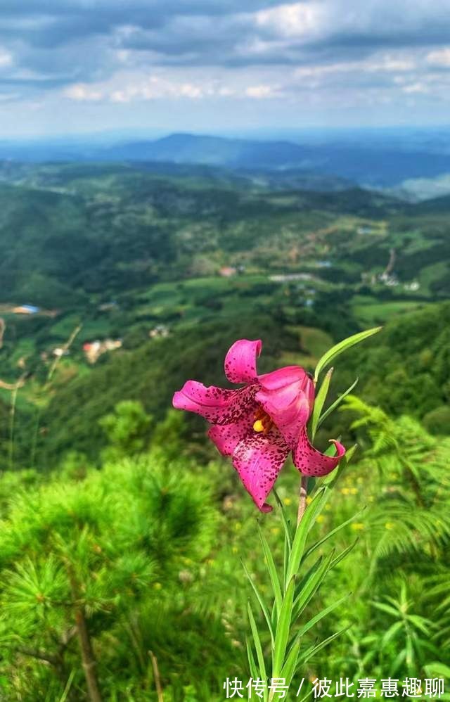 龙凤山|小众！徒步昆明寻甸龙凤山（图）