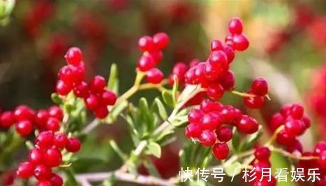 护肤|秋天来了，适合吃的食物，美容护肤，养护血管，预防衰老