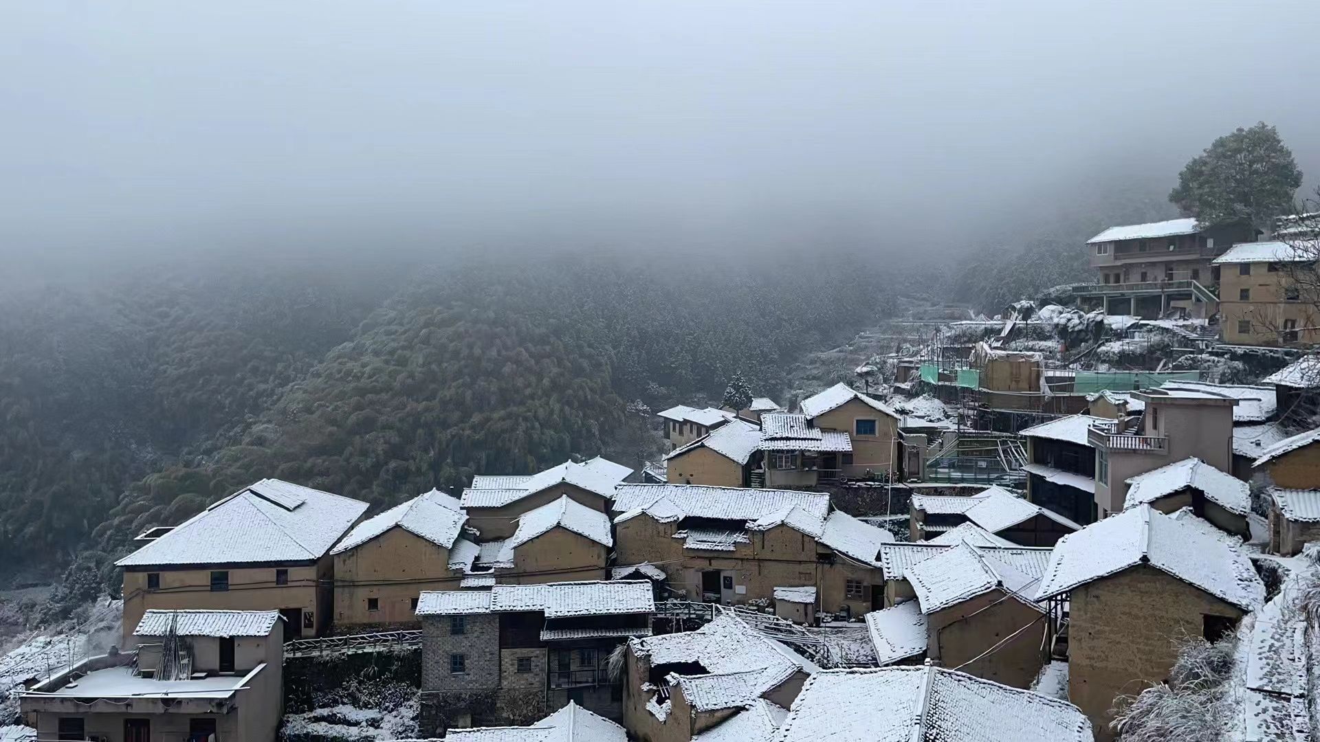 下雪|不用羡慕别人！松阳也下雪啦，绝美~