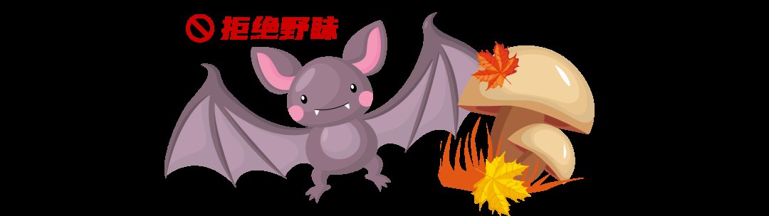 国庆|广西疾控发布中秋国庆健康提示