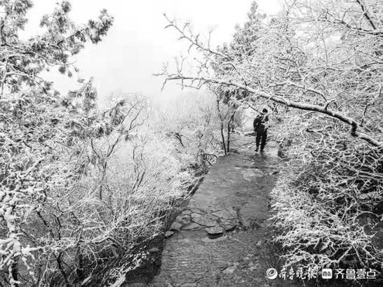 元宵节|冒雪登上千佛山，一览泉城美景、北国风光