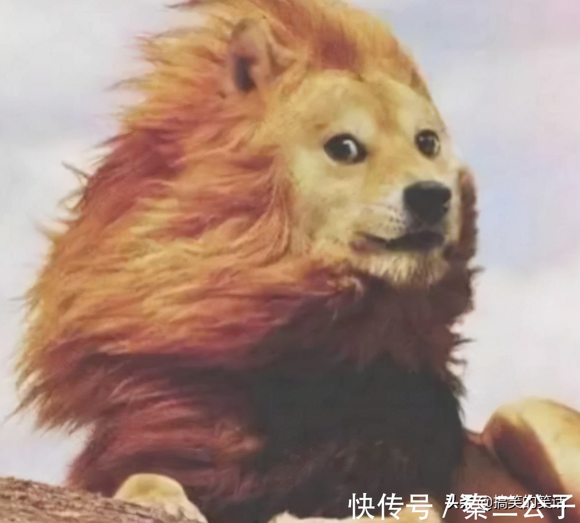 |糗事女儿搞笑笑话,经典打麻将搞笑冷笑话