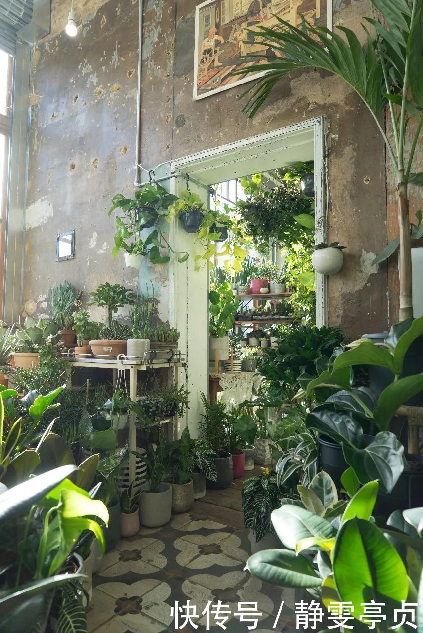 她在屋里种满500盆植物:呆在这样的房子里,生活更有了诗意!