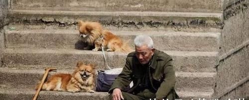 一女|头胎是儿子,二胎又是儿子是什么感受?这几位宝爸说出大实话