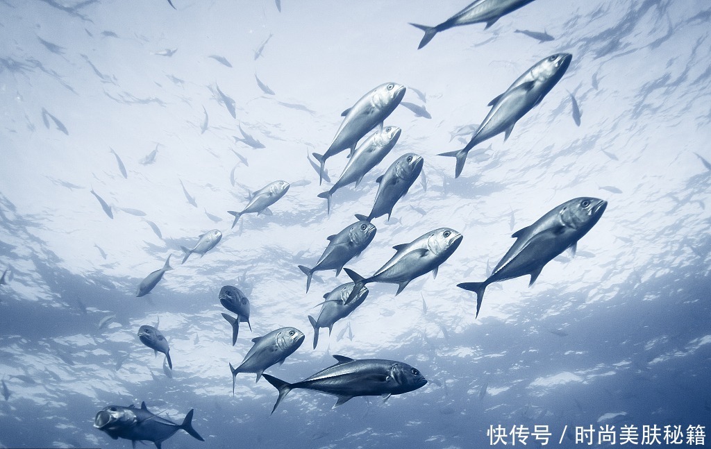 想要买胶原蛋白肽不知道怎么选?ME教你按照这几个标准去挑