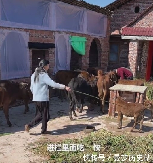 牛爱芳夫妇这是凉凉了?再次更新日常有点太敷衍,粉丝也跌破百万