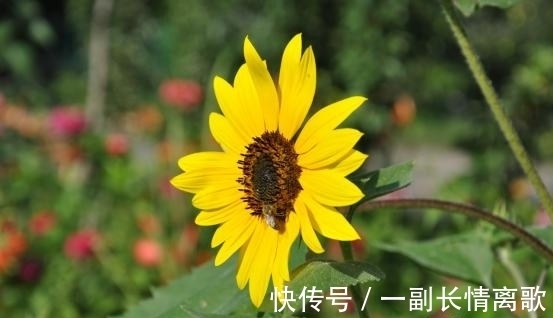 双子|2周后,旧情纠缠,痴心难忘,误会解除,破冰和好,余生如胶似漆