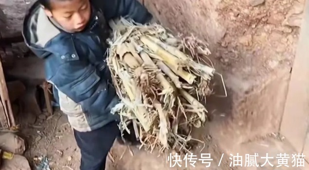 好吃|8岁男孩父母双亡:鸡蛋是不是世界上最好吃的东西?引人泪奔