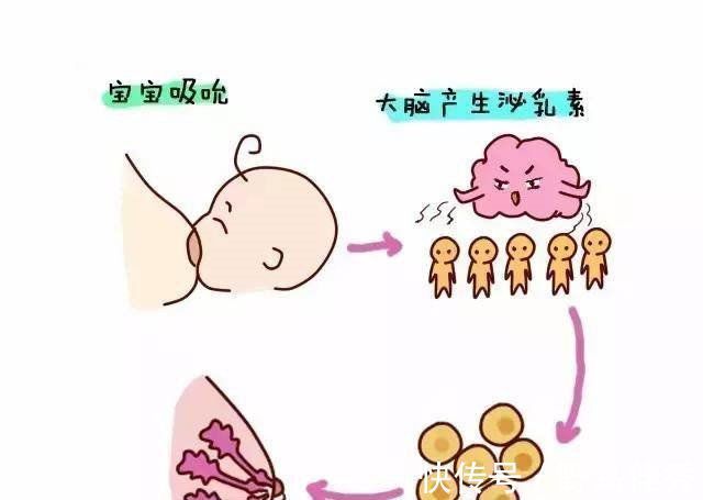 乳汁|乳汁是怎么产生的是血液变成的由食物变成的