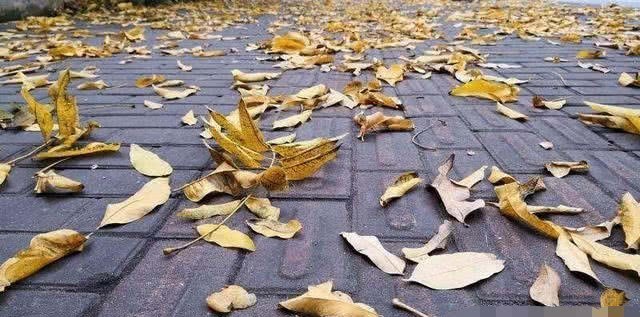 雍正帝|东陵历经两次盗掘，乾隆、慈禧墓尽毁，为何只有雍正墓安然无恙？令人震惊