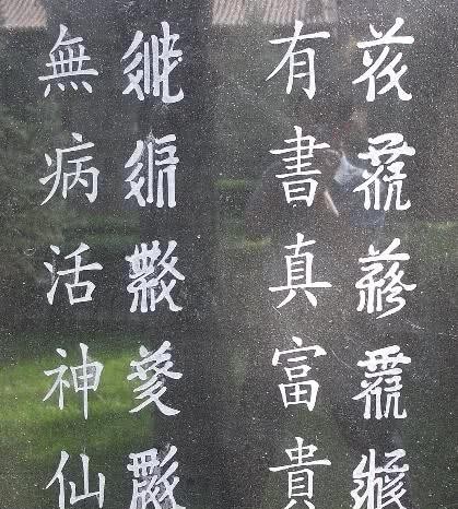 党项|建立西夏的党项人从何处而来?西夏灭亡后他们又去哪里了?
