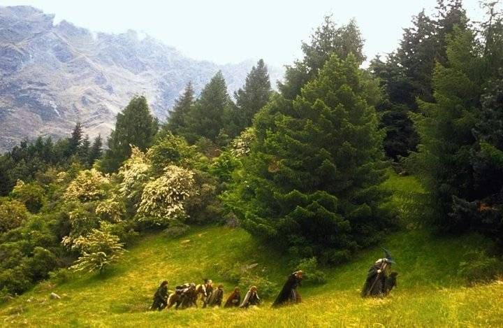 沉淀|从小说《魔戒》到电影《指环王》,奇幻经典历经时光沉淀