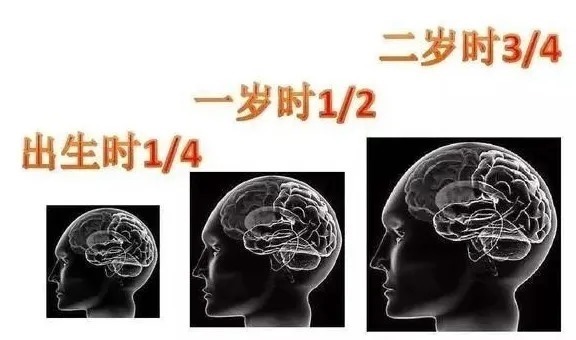 蔻蔻|wenno:缺乏安全感的孩子,小时候大多有这几种表现,家长别不当回事!