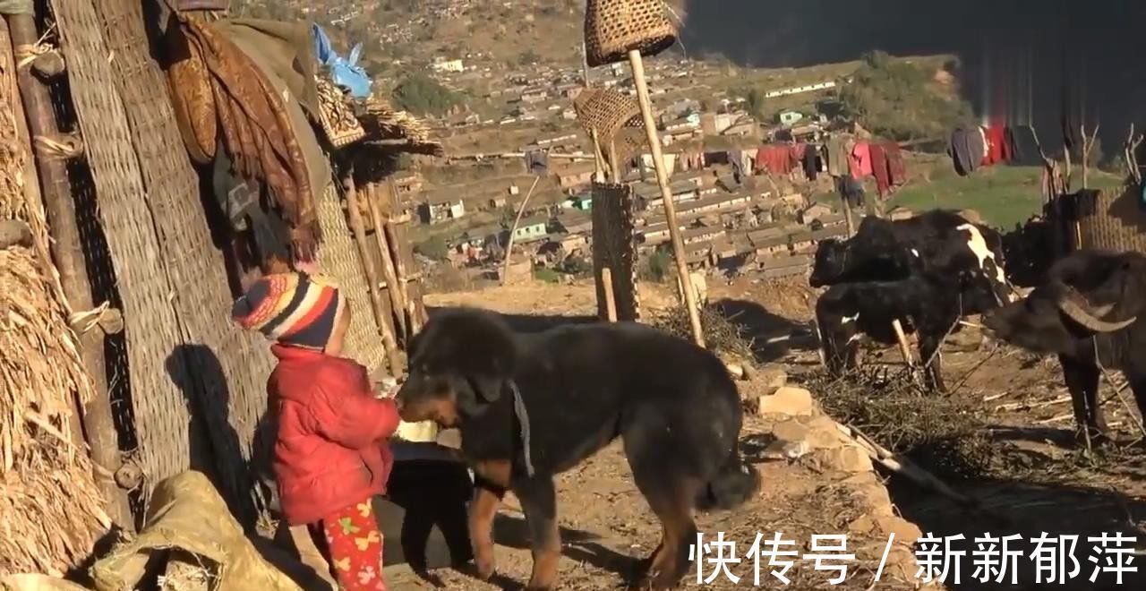 尼泊尔村庄里的穷人，米饭配土豆招待中国小伙，小孩对相机很陌生