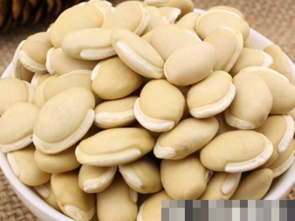 湿气太重不想动常吃4类祛湿食物,不仅排出湿气,还能去水肿