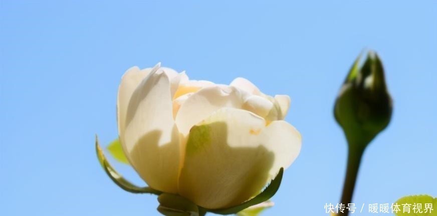 福星高照|谁老公是属这4个生肖,千万别嫌他穷,越老越有钱。