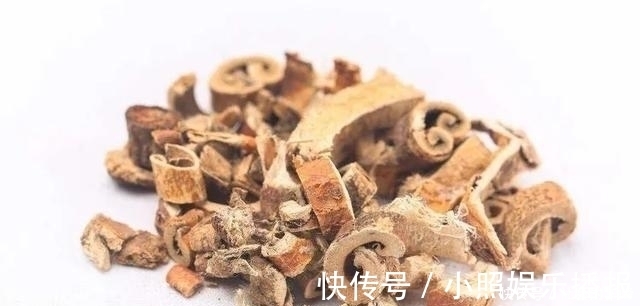 现代中药基础研究与临床|施今墨选中两味药,理肺+治脾,扫清生痰之源、储痰之器