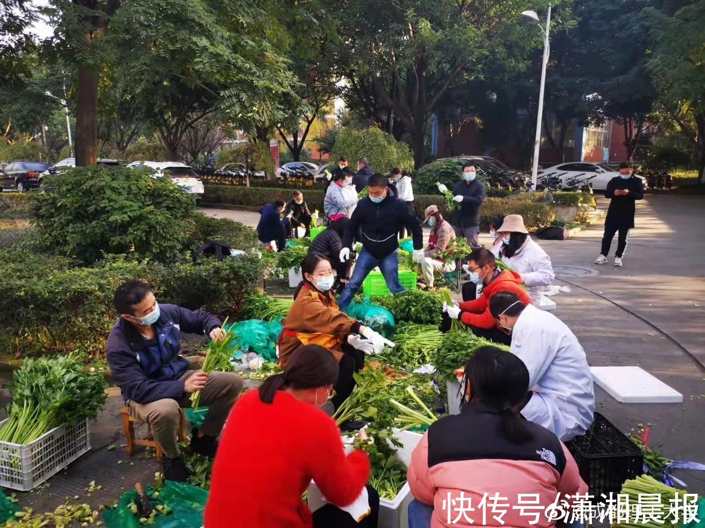 成理|博导、教授择菜打饭！成都理工大学“帮厨天团”火了