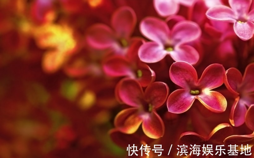 生肖|“对爱情守诺”的4种生肖,只对老婆专情,家庭非常幸福