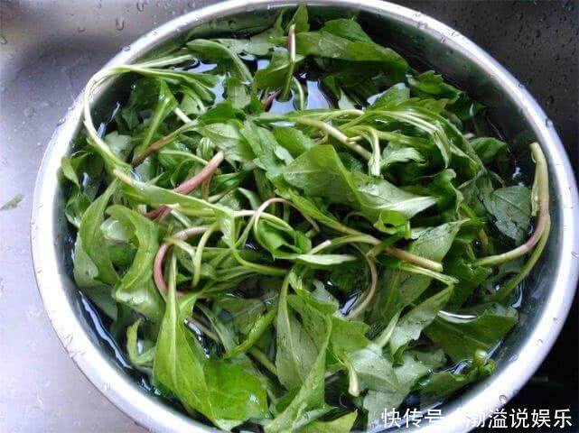美容养颜|女性推荐常吃3种食物,可消除色斑,润泽肌肤,美容养颜