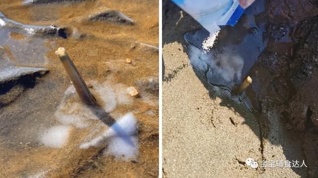 煎蛋|夏天营养流失快、没食欲,抓住这道菜!鲜上加鲜,嫩到夹不住
