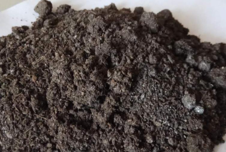 发酵羊粪，用来养花该注意什么？