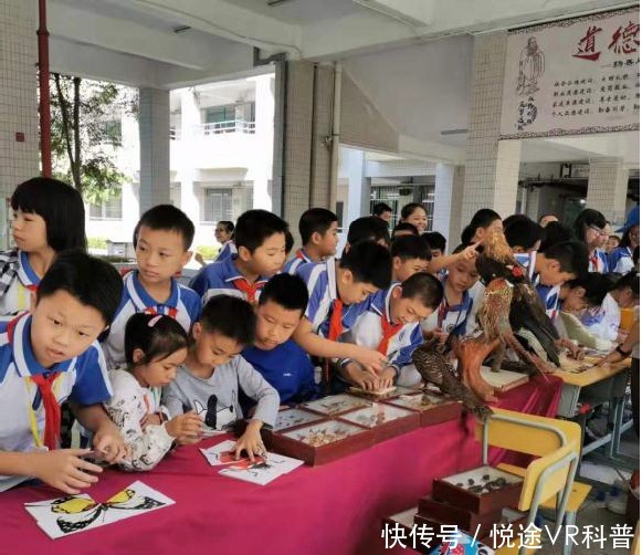 研究化石,趣味定向,植物压花!番禺公园科普活动继续神奇旅程!