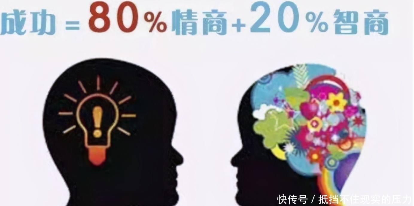 情商就会|白岩松:情商比智商更重要,常对孩子说这3句话,孩子情商不会低