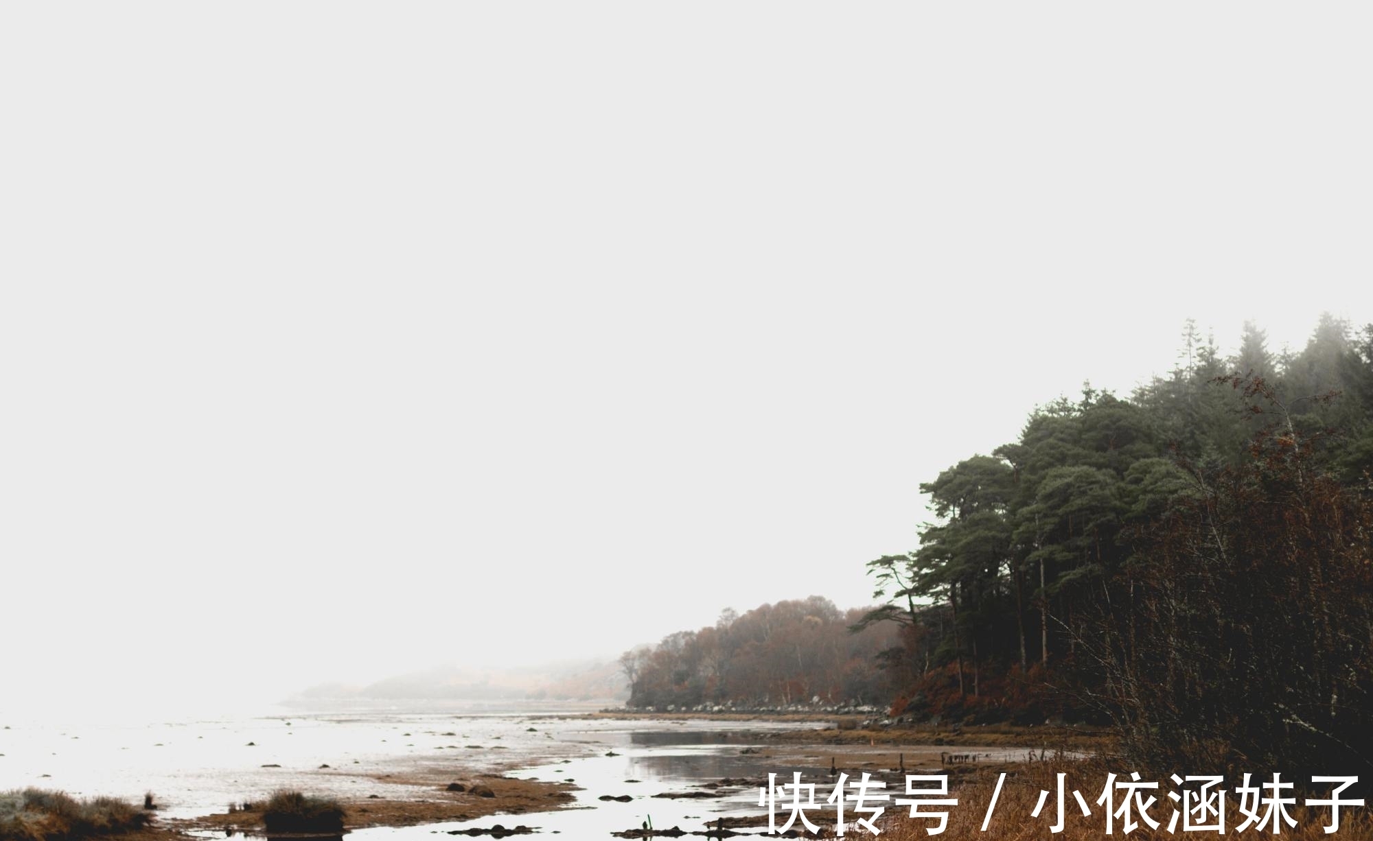 滕王阁序&王勃很经典的一首《山中》,短短20字萧瑟隽永,结尾两句回味无穷