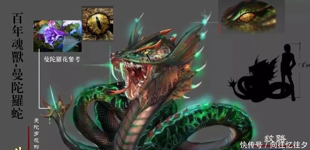 天青牛蟒|斗罗大陆：魂环年限只是修为？最初的一条小蛇明确答案