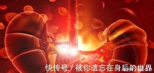 尿素|从糖尿病到尿毒症,身体会发生什么变化?预防请做好这几点