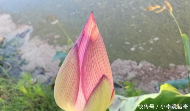 学佛的人,切记保密三件事,一旦泄露,福报受损,得不偿失!