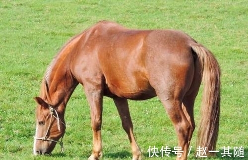 六喜临门|十二生肖中，谁在未来三个月，五路财神助，六喜临门