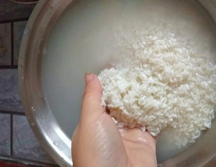 端午节|包粽子,糯米泡多久才能包多数人不懂,难怪下锅就漏米,还夹生