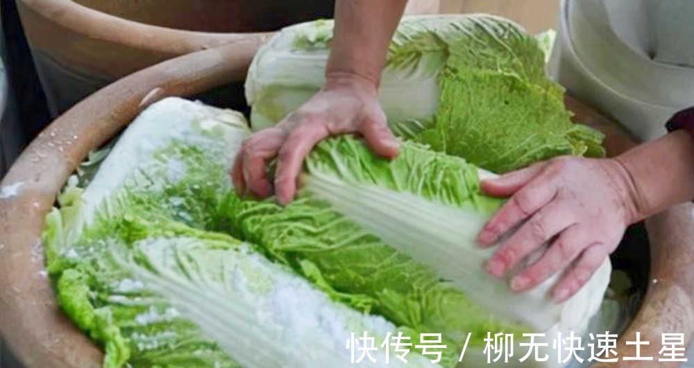 买白菜时，挑“白色”还是“绿色”20年菜农教你一招，别选错了！