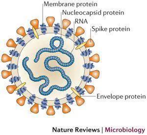 感冒|疫情还没结束,发现最近感冒的人几乎没有了,这是咋回事