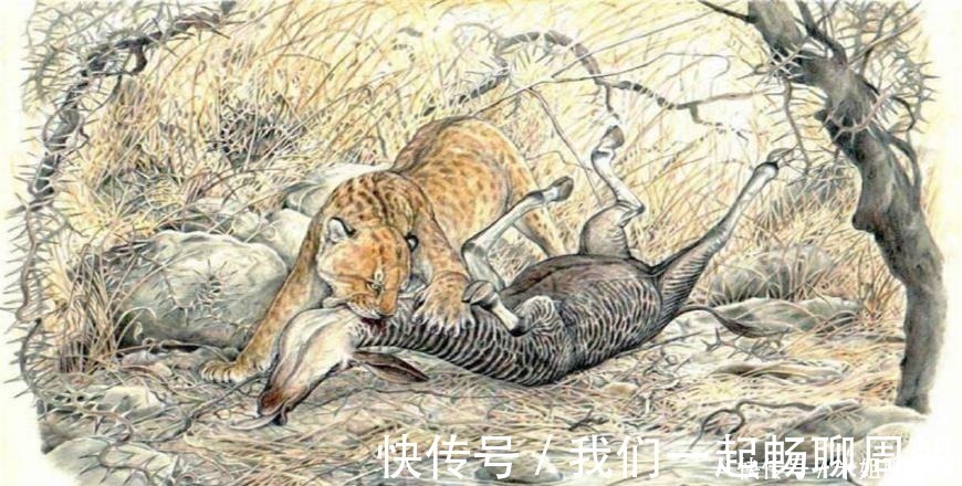 历史人物&上古时期,天下分为九个国家,每个国家都是十分奇特