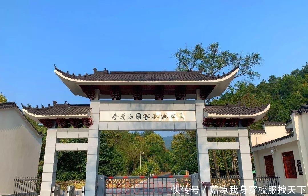 藏在河南小县城的国家森林公园，风景优美无门票，游玩避暑最佳地