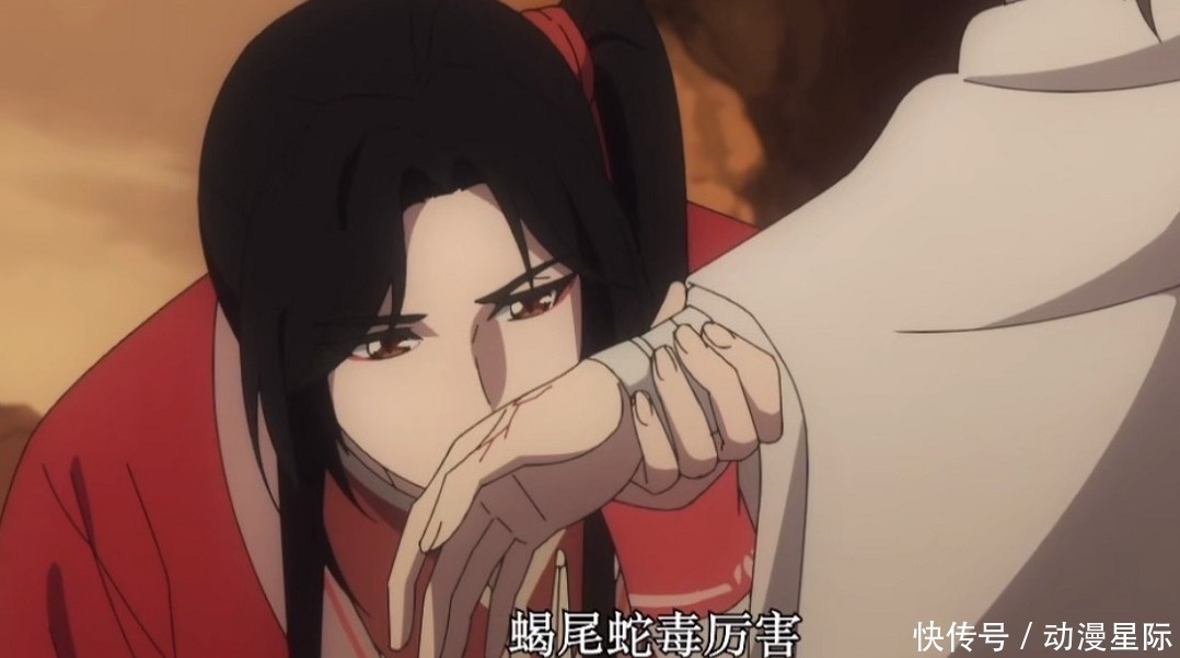 谢怜为救花城身中蛇毒,吸毒血名场面引全体起立!蛇都磕裂了!