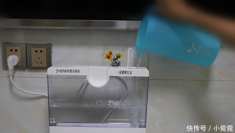 早餐别只会豆浆油条,教你做包子蓬松香软,比豆浆营养,比油条香