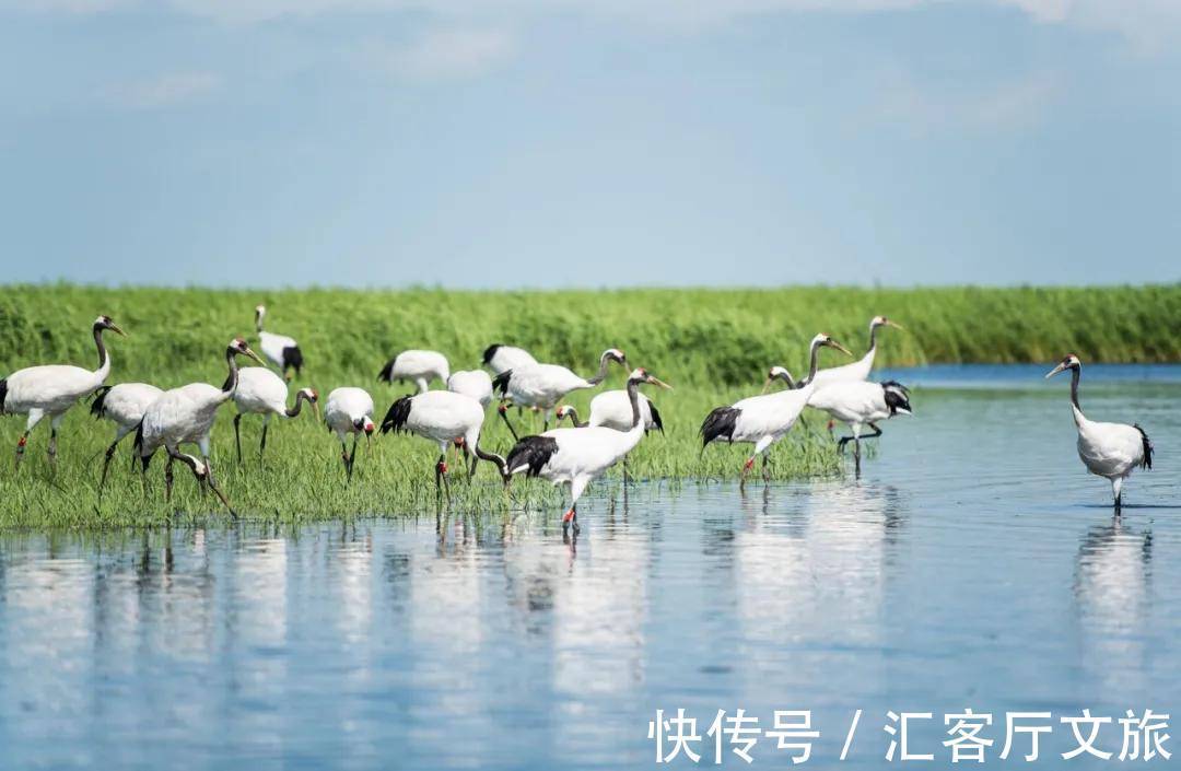 极北之地|首金冠军的家乡,极北之地,这个又美又刚的地方值得上一次热搜!