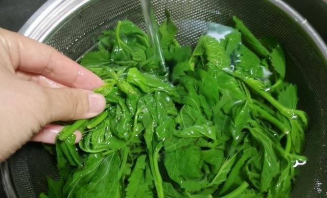 最近，要多给孩子吃的菜，清爽鲜嫩更开胃，10分钟做一锅当早餐