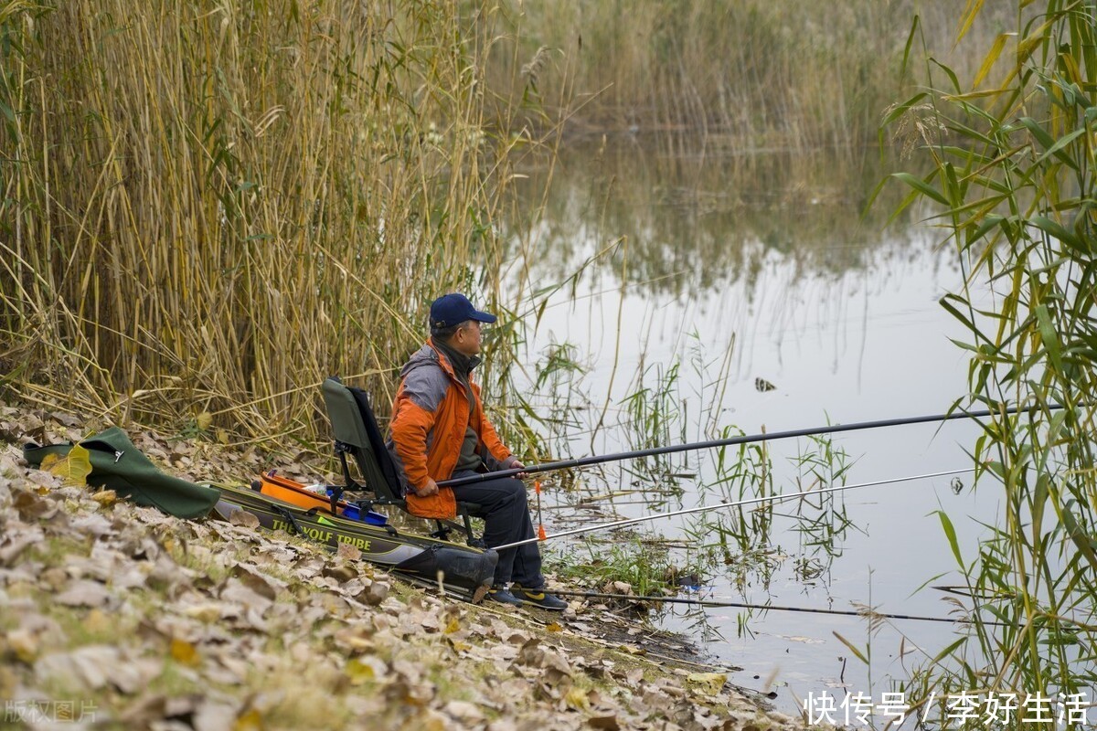 打开|冬季鲫鱼从这3点入手轻轻松松打开鱼口,钓了这么多年才知道
