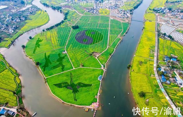 潼南|重庆春天从潼南开始，中国最美油菜花海已经开好，扫黄赏花约起来