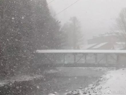 降雪|美！雪乡迎来第一场雪！