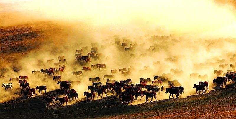 世界|世界最古老的企业,距今已有2100多年,东汉因它险些覆灭